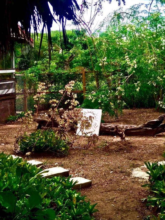トレジャー・ビーチ Moringa Ingadiヴィラ エクステリア 写真